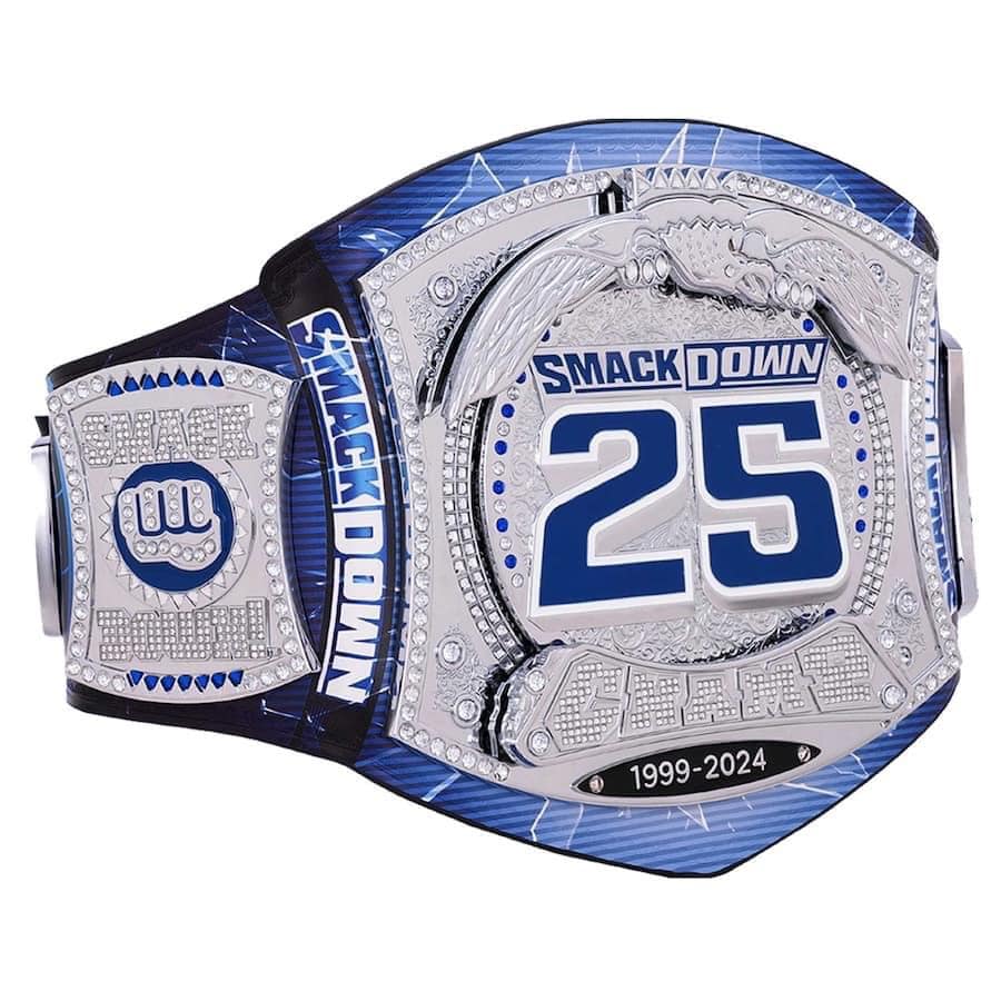 25th anniversary Smackdown spinner restoning